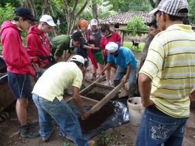 Cultivateurs Nicas