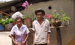 Abuelos nicas Abuelos nicas