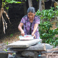 Doña Tomasa